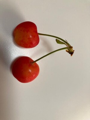 IMG_7903.jpeg